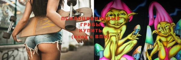 дурь Алексеевка