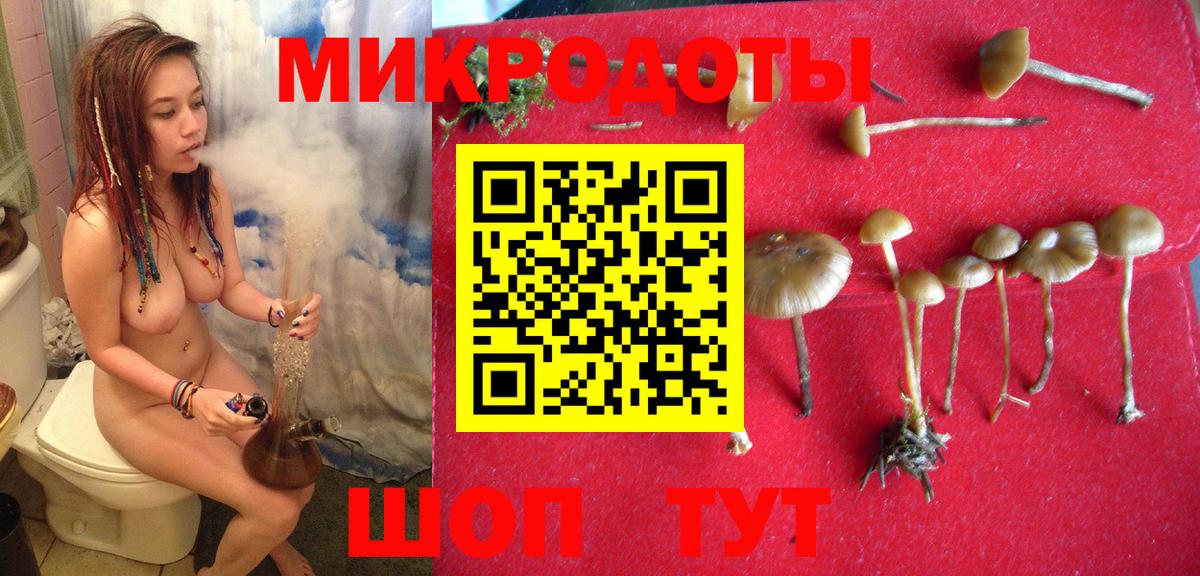 Псилоцибиновые грибы ЛСД Сибай