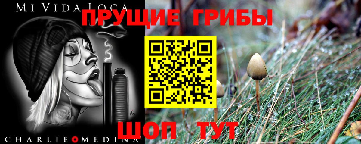 Галлюциногенные грибы Psilocybine cubensis  дарнет шоп  Сибай  Вход с VPN  Псилоцибиновые грибы прущие грибы 