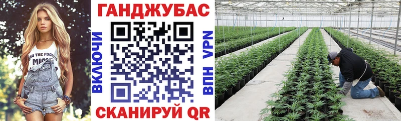 Конопля план Сибай